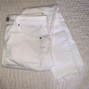 Articles of Society Jeans size 24